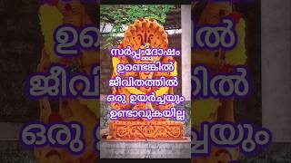 സർപ്പ ദോഷമുള്ള നക്ഷത്രങ്ങൾastrology shortsfeed shorts [upl. by Asli]