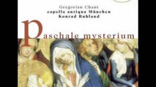 Procedamus In Pace Sadeness  Capella Antiqua München 1976 wmv [upl. by Chandra]