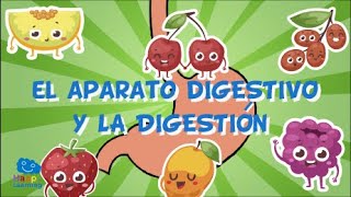 EL APARATO DIGESTIVO Y LA DIGESTIÓN  Videos Educativos para Niños [upl. by Ainnet713]