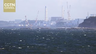 China insta a supervisión internacional efectiva sobre el vertido de aguas residuales de Fukushima [upl. by Nywra630]