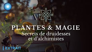 Spagyrie amp plantes du jardin pour se soigner  Documentaire Extrait [upl. by Anade]