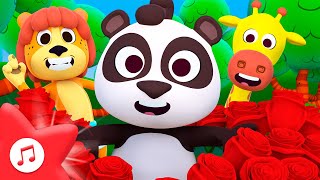 A Cache  Cache Dans Le Zoo 🐼 CHANSONS 🎵 VIDÉOS POUR ENFANTS  Le Royaume des Enfants [upl. by Natalina]