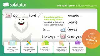 Bestimmte und unbestimmte Artikel le la les un une des einfach erklärt – Franzoesisch [upl. by Inasah]