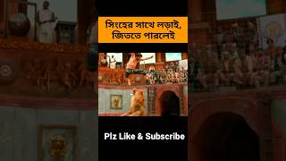 সিংহের সাথে লড়াই জিততে পারলেই। Lion shortvideo shorts short explaininbangla banglaexplained [upl. by Goddart]