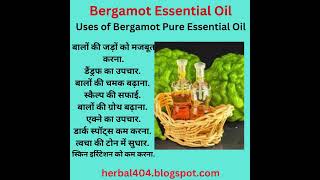 Bergamot Essential Oil health herbal herbs skincare [upl. by Marra]