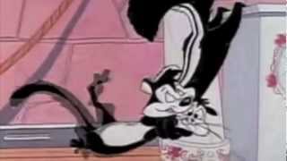 Pepe Le Pew  Somebody I Used to Know [upl. by Dorcia]