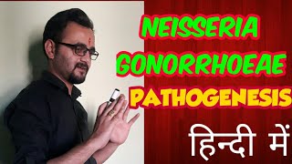 Neisseria gonorrhoeae pathogenesis amp clinical manifestations in hindi [upl. by Leann]