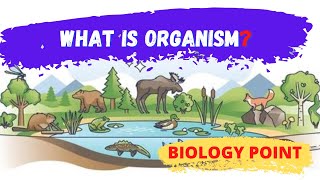 what is organism  Organism  define organism  meaning of organism [upl. by Det]