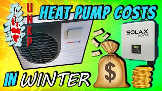 Heating A KOI POND In Winter  Heat Pump amp SOLAR Breakdown [upl. by Sato32]