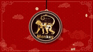 MONKEY Zodiac Forecast 2024  2024 属猴生肖运势 [upl. by Sira678]