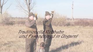 Traditionelle Rebhuhn und Fasanenjagd in Ungarn [upl. by Hagar]