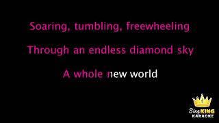 A Whole New World Karaoke Version 1080 [upl. by Drarrej]