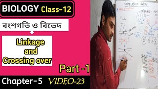 linkageCrossing overRecombination part1 in Bengali Class12 সম্পূর্ন ও অসম্পূর্ণ লিংকেজ [upl. by Eyram419]