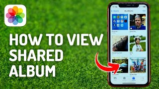 How to View Shared Album on iPhone  Full Guide [upl. by Zampardi480]