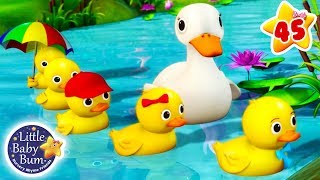 Five Little Ducks   More Nursery Rhymes amp Kids Songs  ABCs and 123s  Learn with Little Baby Bum [upl. by Kamerman]