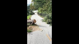 Swamp Rabbit Trail cleanup [upl. by Aracaj175]