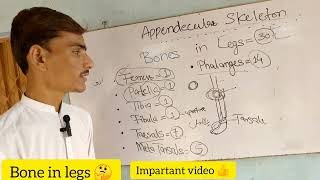 Bone in Legs 🤔  Appendicular Skeleton  Impartant video 👍 DrBkMajno [upl. by Wehtta2]