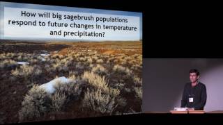 How Will Climate Change Alter the Abundance of Big Sagebrush [upl. by Jerry254]