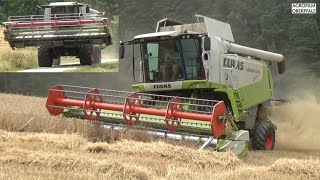 MONTANA on MOUNTAIN Claas Lexion 570 Sonderlackierung  Getreide dreschen  Landwirtschaft Preis [upl. by Wilbert777]