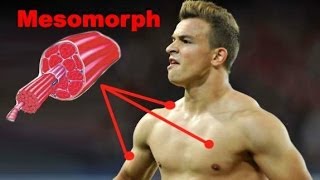 Xherdan Shaqiri  Der mesomorphe Körpertyp [upl. by Fonsie323]