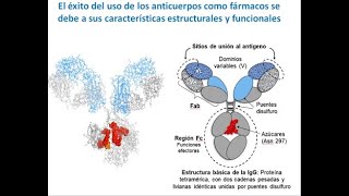 Video Teórico 9  Anticuerpos como Fármacos [upl. by Hazelton]