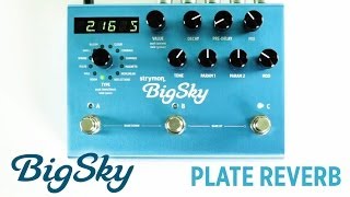 Strymon BigSky  Plate Reverb machine audio demo [upl. by Dimphia]