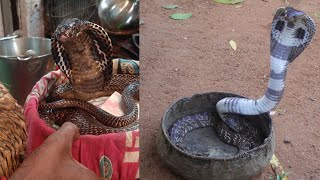 Bht Hi Bada Saamp Dekha Aaj😱🐍🐍 [upl. by Isoais]