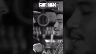 afrentar una pelea que no puedes ganar sin verte cómo un miedoso cantinflas ufc pesopluma [upl. by Halette]