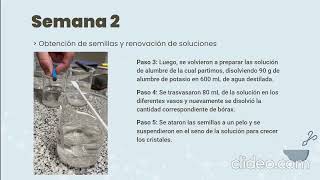 ¿Alumbre cúbico Cambio del hábito cristalino del alumbre de potasio ante el agregado de bórax [upl. by Deane]