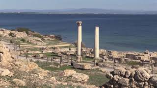 THARROS AREA ARCHEOLOGICA SARDEGNA  ARCHOLOGICAL AREA SARDINIA ITALY [upl. by Atteuqaj]