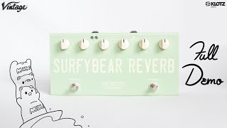 Surfy Industries SurfyBear Compact Reverb DEMO  All Analog Spring Tank 2 Channels  Guitar amp Bass [upl. by Atekihc]