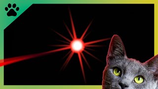 Jeux pour chat  Laser pour chats rouge classique en vidéo [upl. by Caughey945]