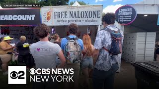 Nonprofit distributes naloxone at Gov Ball in Queens [upl. by Narret402]