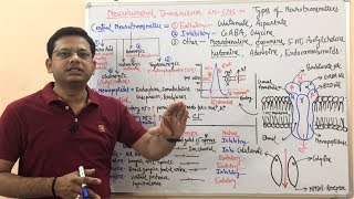 Neurotransmitters  Types of Neurotransmitters in Central Nervous System  Neurotransmission Example [upl. by Devon268]