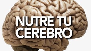 Problemas de salud mental y nutrición para el cerebro [upl. by Amsab]