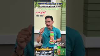 Matrix Chitosan อมิกซ์ คอนเฟิร์ม 🍀 [upl. by Gausman]