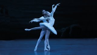 Swan Lake  Svetlana Zakharova amp Denis Rodkin  Bolshoi Ballet 2015 DVDBluray highlight [upl. by Kerekes]