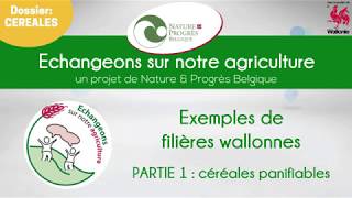 Des initiatives wallonnes de filières en céréale panifiable [upl. by Coleville]