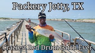 Packery Jetty TX  Craziest Red Drum Catch Ever [upl. by Taro664]