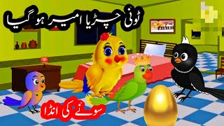 tuntuni chidiyameena chidiya Pashtotuni chidiya Pashto cartoonدا ٹونی چڑیا مینا چڑیا راغلا [upl. by Hsepid]