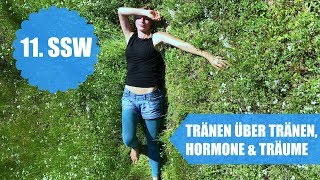 Tränen über Tränen Hormone und Träume  11SSW [upl. by Eenerb]