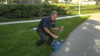 How to Identify Sod Webworm in Your Florida Lawn [upl. by Elenaj45]