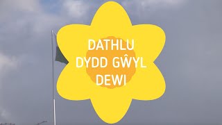 Dathlu Dydd Gwyl Dewi [upl. by Nace194]