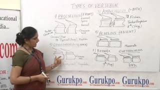 Types of vertebrae lectureBscMsc by priyanka khan [upl. by Junius]