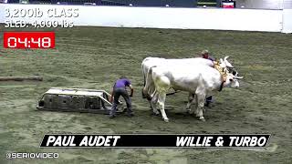 Big E Oxen Pull 3300 Class [upl. by Daph]