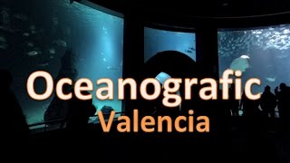 Oceanografic de Valencia  2017 [upl. by Eyr840]