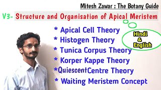 Structure and Organisation of Apical Meristem  Theories to explain Organisation of SAM amp RAM [upl. by Prendergast]