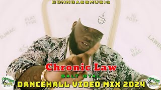 Chronic Law Mixtape 2024 Dancehall Video Mix 2024 Chronic Law Salt Gyal Mix 2024 [upl. by Enyt]