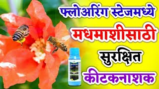 Movento OD Bayer Insecticide  मधमाशीसाठी सुरक्षित किटकनाशक  Bayer Insecticide [upl. by Shriver18]