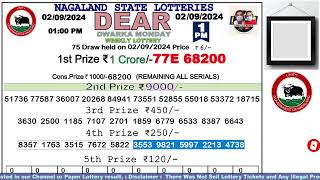 Lottery Sambad Live Dear Nagaland State Lottery Live draw result 020924Lottery live sambad [upl. by Loni]